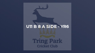 U11 B 8 a side - Yr6