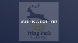 U12B - 10 a side - Yr7
