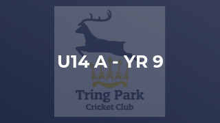 U14 A - Yr 9