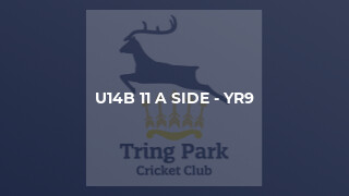 U14B 11 a side - Yr9