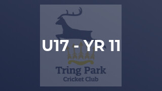 U17 - Yr 11