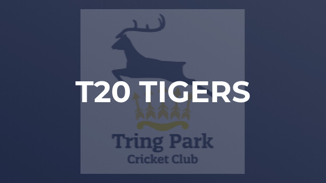 T20 Tigers