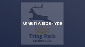 U14B 11 a side - Yr9