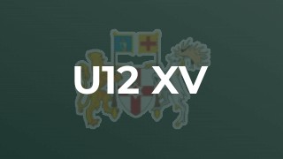 U12 XV