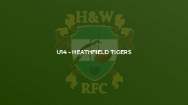 U14 - Heathfield Tigers