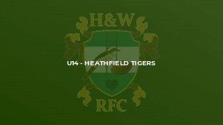 U14 - Heathfield Tigers