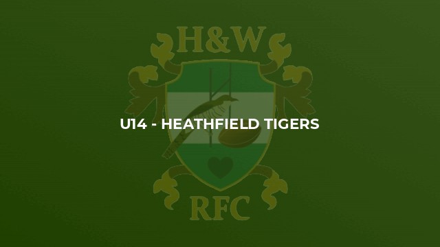 U14 - Heathfield Tigers