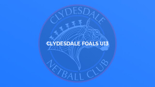 CLYDESDALE FOALS U13