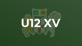 U12 XV