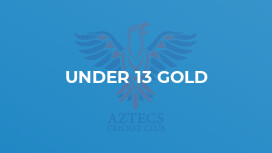 Under 13 Gold