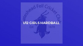 U12 Girls Hardball