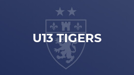 U13 Tigers