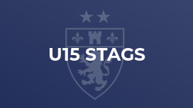 U15 Stags