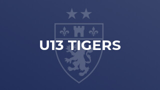U13 Tigers