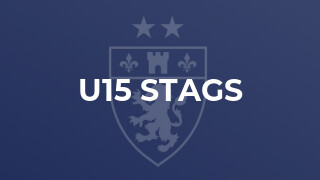 U15 Stags