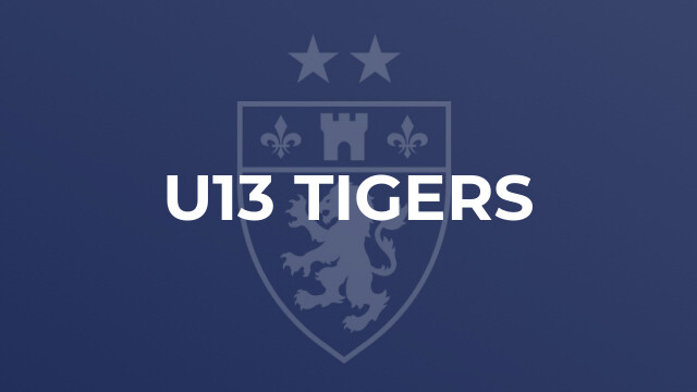 U13 Tigers