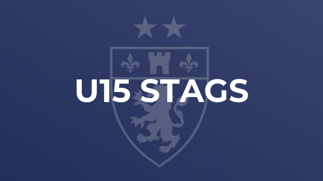 U15 Stags