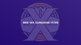 Bee WX Sunshine 17/09