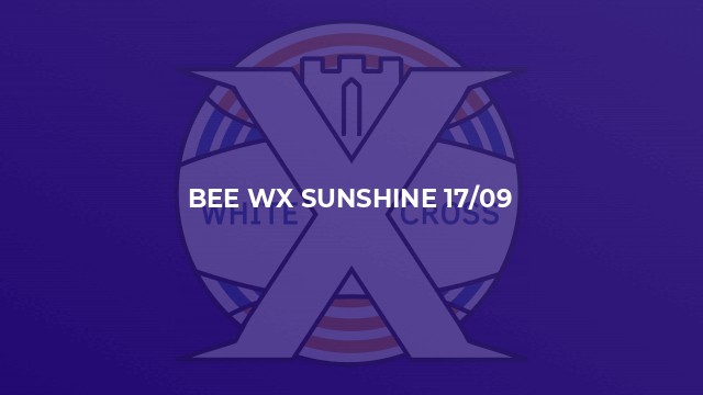 Bee WX Sunshine 17/09
