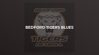 Bedford Tigers Blues