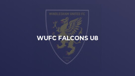 WUFC Falcons U8