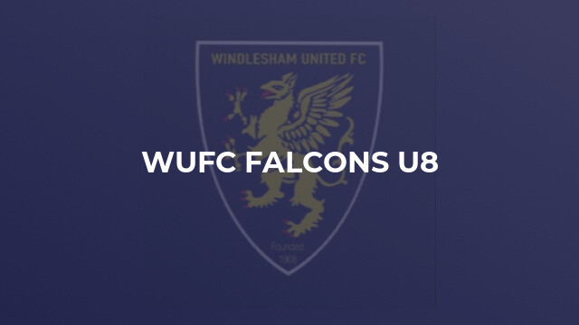 WUFC Falcons U8