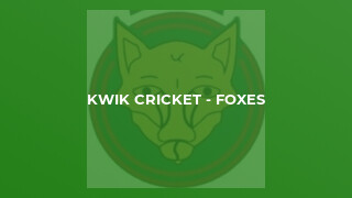 Kwik Cricket - Foxes