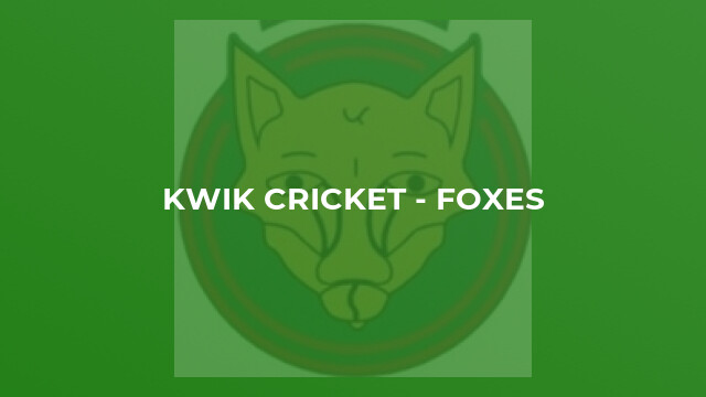 Kwik Cricket - Foxes