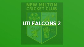 U11 Falcons 2