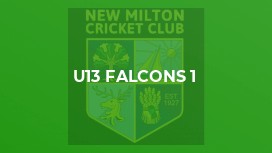 U13 Falcons 1