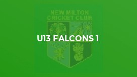 U13 Falcons 1