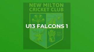 U13 Falcons 1