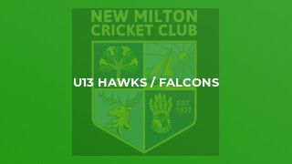 U13 Hawks / Falcons