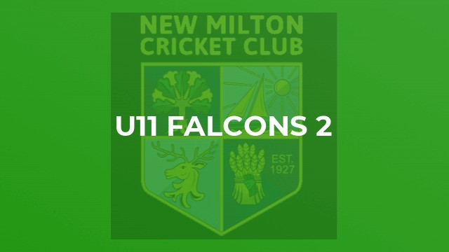 U11 Falcons 2