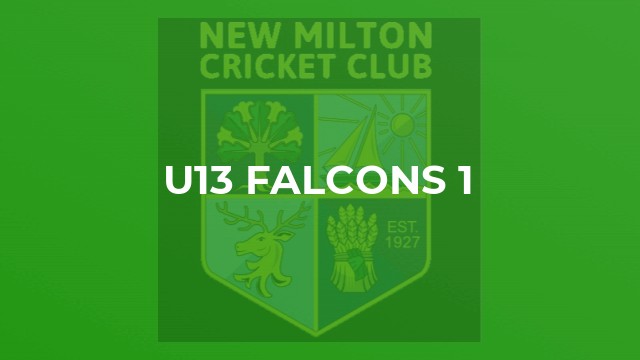 U13 Falcons 1