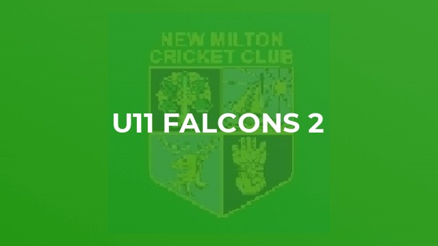 U11 Falcons 2