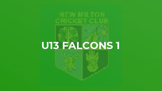 U13 Falcons 1