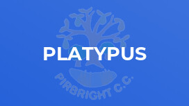 Platypus