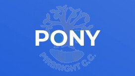 Pony