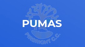 Pumas