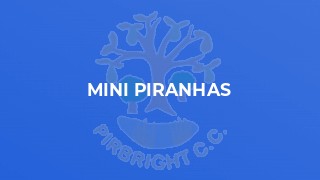 Mini Piranhas