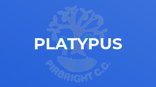 Platypus