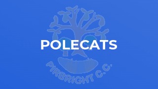 Polecats