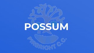 Possum