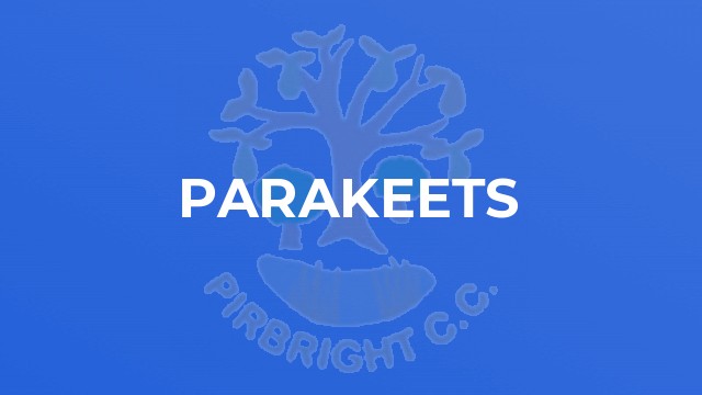 Parakeets