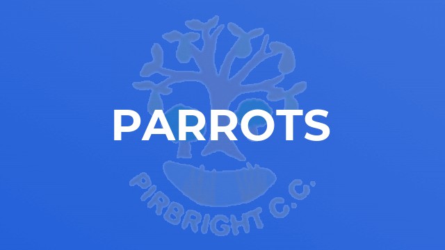 Parrots