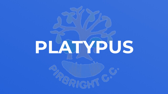 Platypus