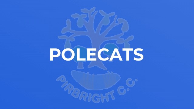 Polecats