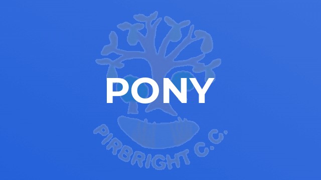 Pony