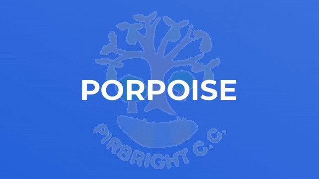 Porpoise